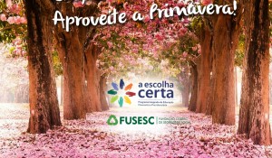 PRIMAVERA 1-fusesc