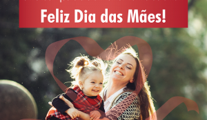 2017 - dia das mães-post face