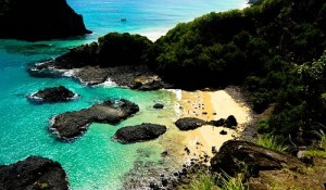 fernando-2581811_640