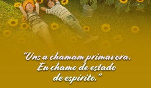 a escolha certa_fusesc