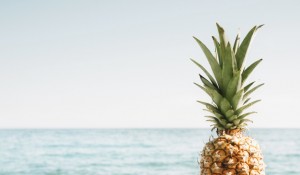 fundo-de-praia-com-abacaxi_23-2147837383