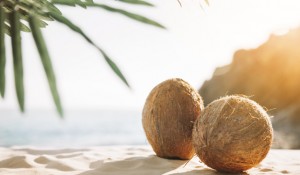 fundo-de-praia-com-coco_23-2147837365