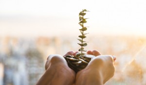 planta-crescendo-de-moedas_23-2147931177