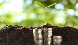 small-trees-pile-coins_42128-41