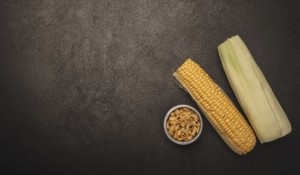 corn_23-2148024801
